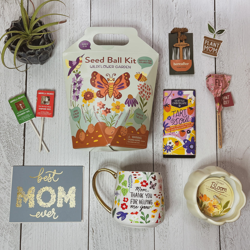 Mother's Day gift guide: Plant mom