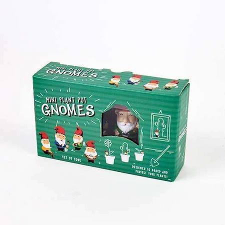 Box of mini plant pot gnomes