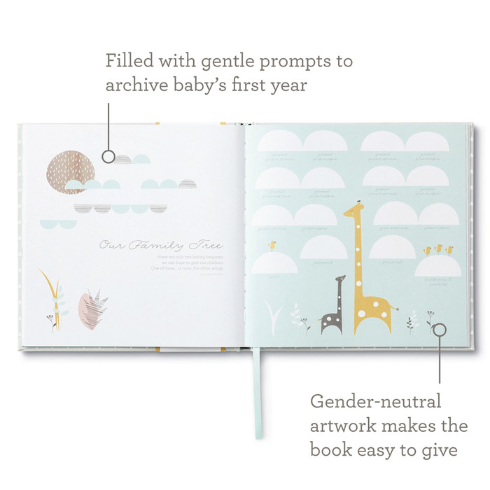 Hello, Little One!-Baby Book