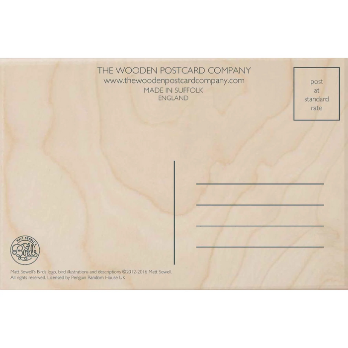 American Robin Wooden Postcard