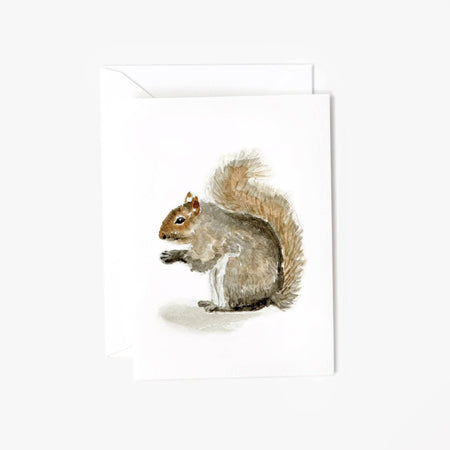 Illustration of a squirrel on a card with a white background