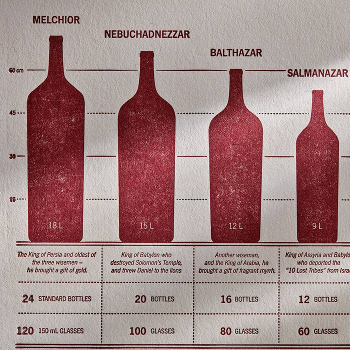 Wine Bottle Taxonomy Letterpress Print