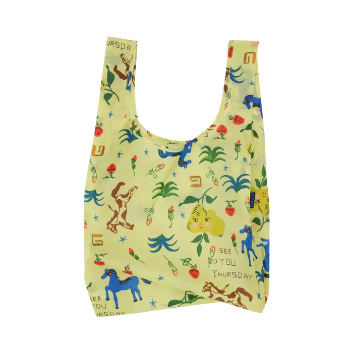 Standard Baggu - Painted Prairie