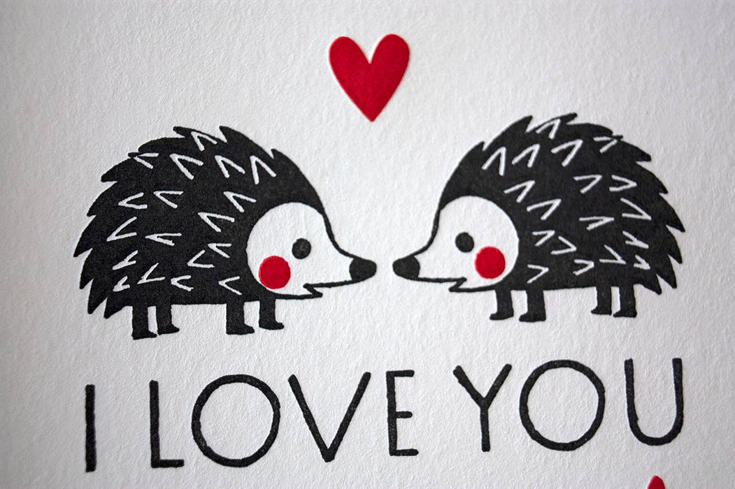 I Love You Hedgehogs