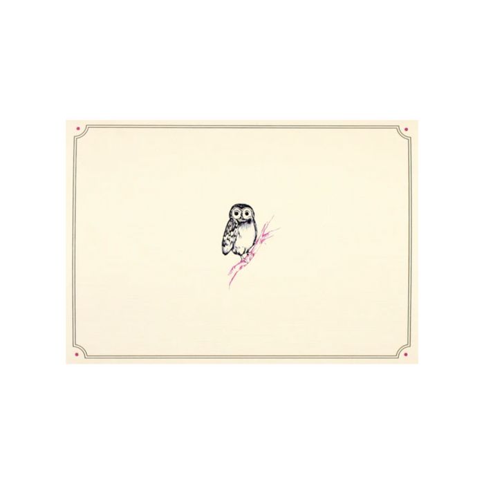 Owl Portrait Note Card Set