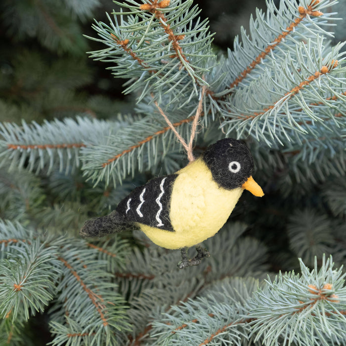 Ornament - Birds - Set of 5