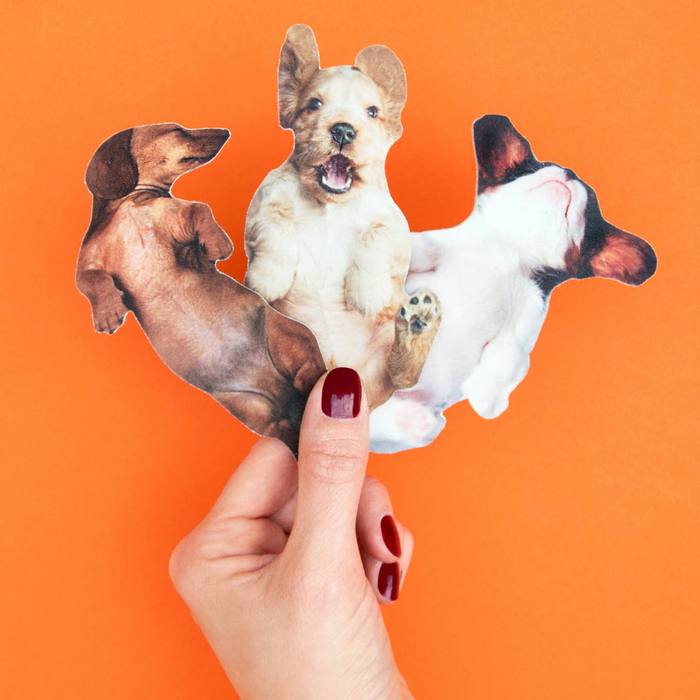 Dog Nail file