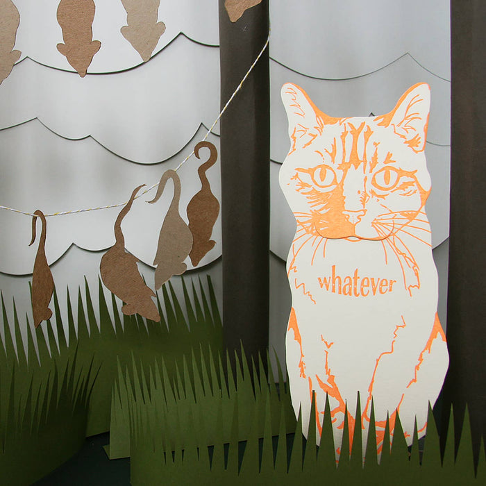 Whatever Cat Card