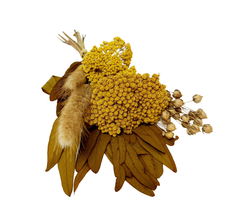 Harvest Yarrow Dried Mini Bouquet