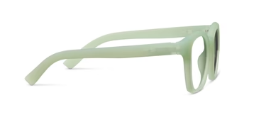 Zinnia Readers by Peepers