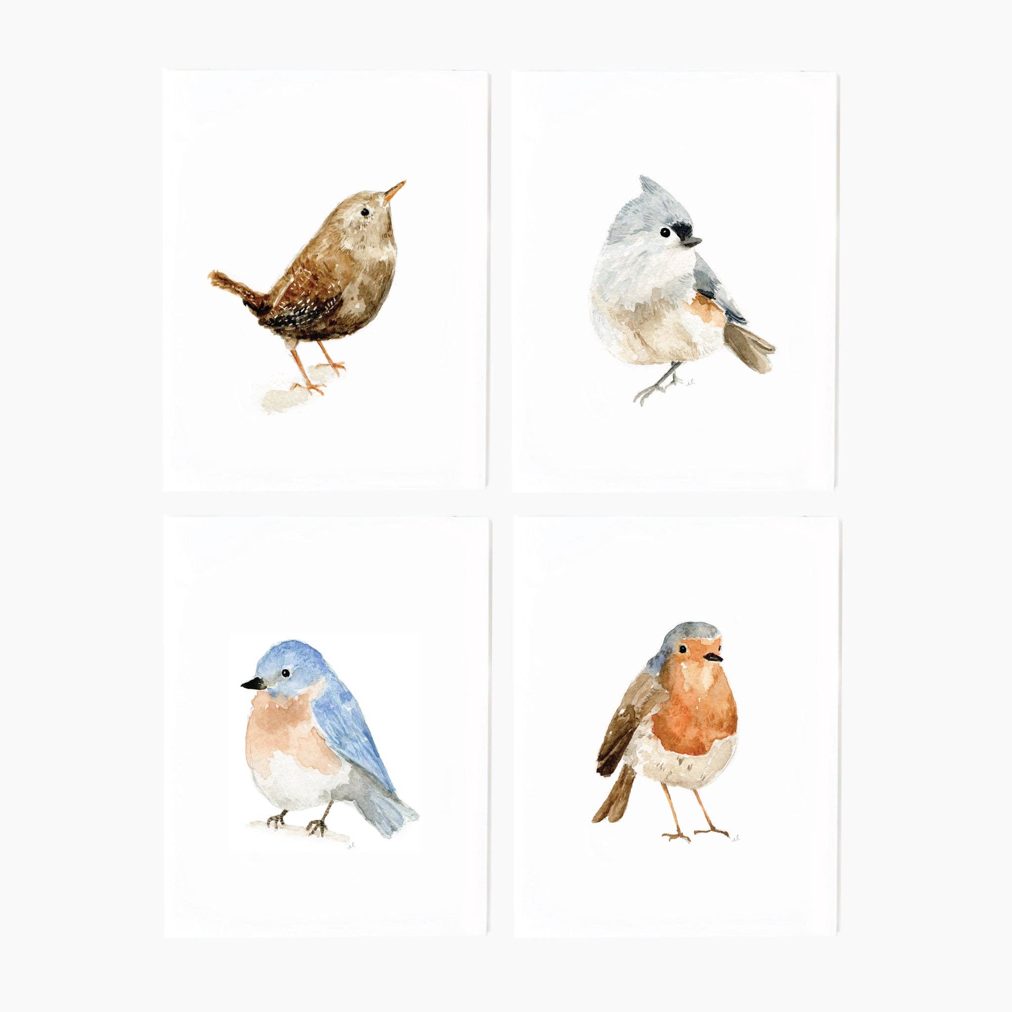 Four different bird illustration cards on a white background