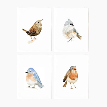 Four different bird illustration cards on a white background