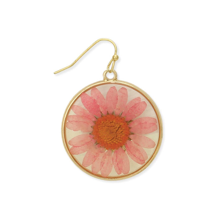 Pink Chrysanthemum Dried Flower Earrings