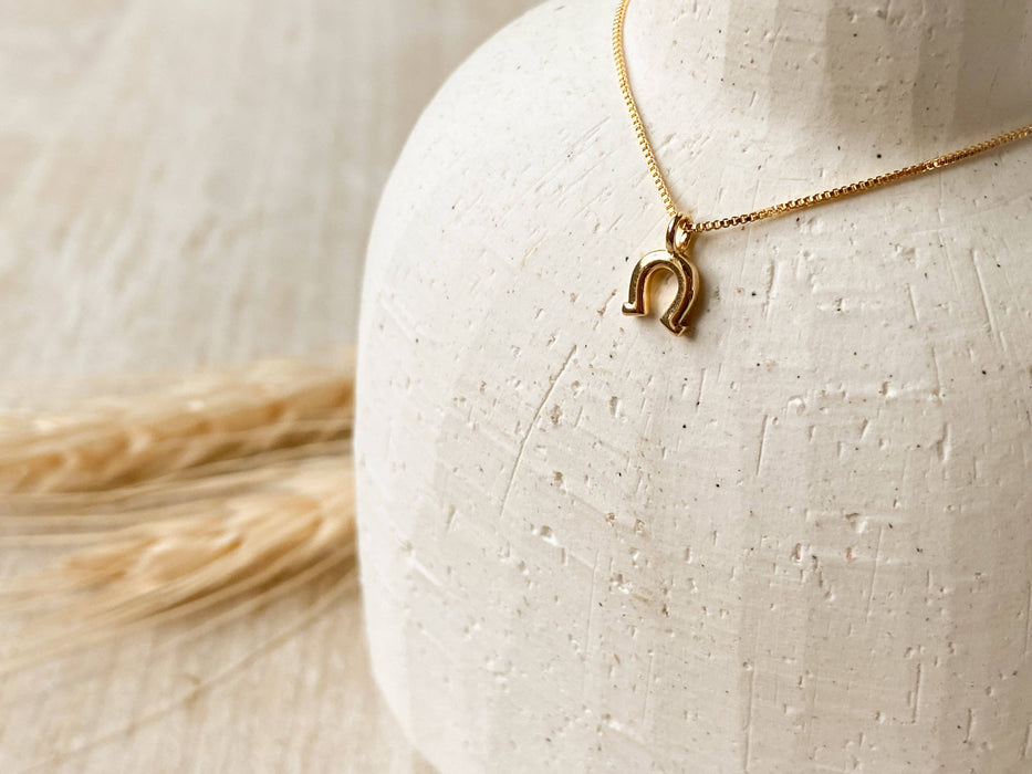 The Rodeo Necklace 18"L