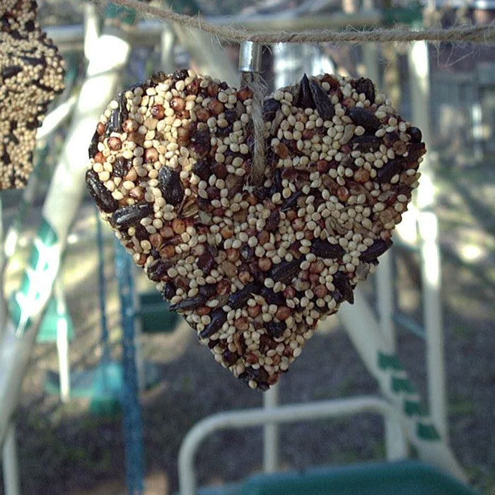 Little Heart Bird Seed