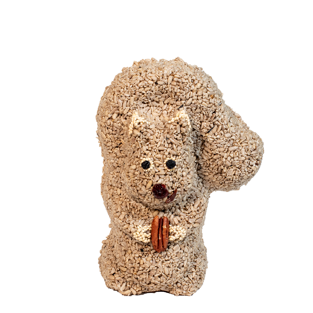 Squirrel made of bird seed on a white background