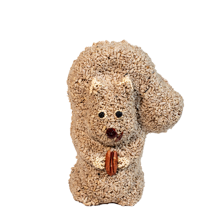 Squirrel made of bird seed on a white background