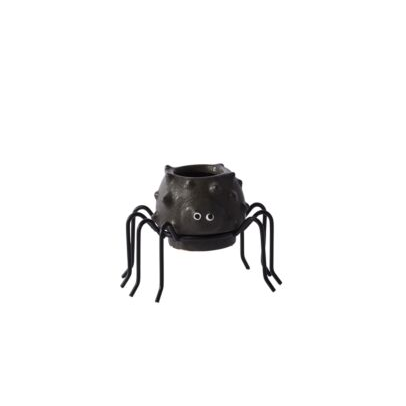 Small spider pot on white background 