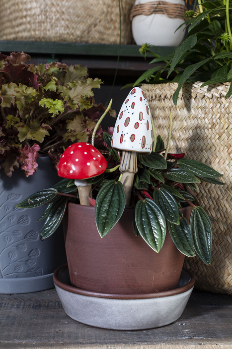 Spore Plant Stick