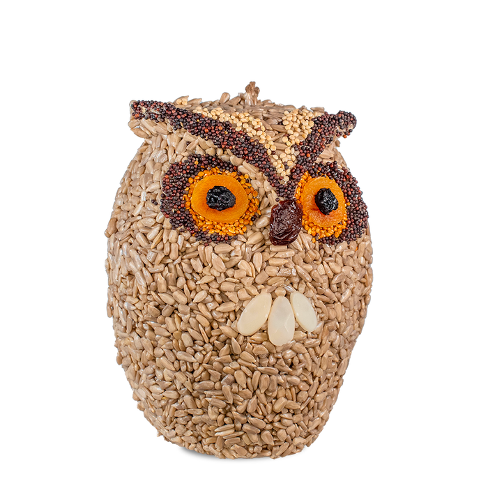 Whoo-lio Owl
