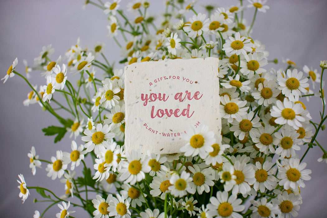 You Are Loved Handmade Paper Flower Seeds