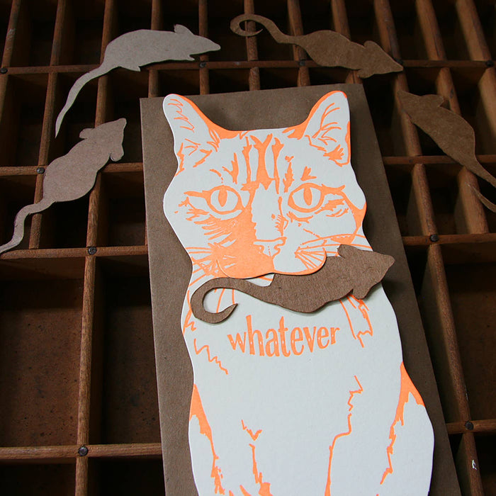 Whatever Cat Card