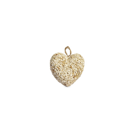 Heart-shaped bird seed treat on a white background