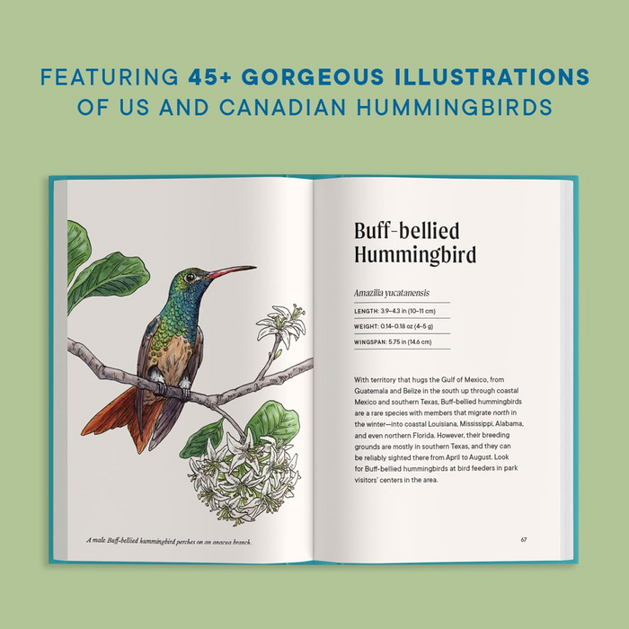 A Little Book of Hummingbirds