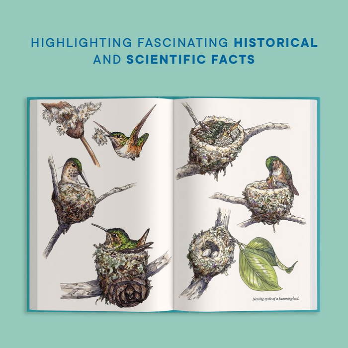 A Little Book of Hummingbirds