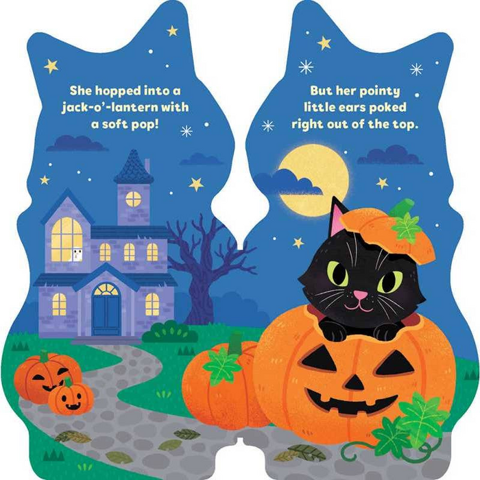 Little Black Cat Book