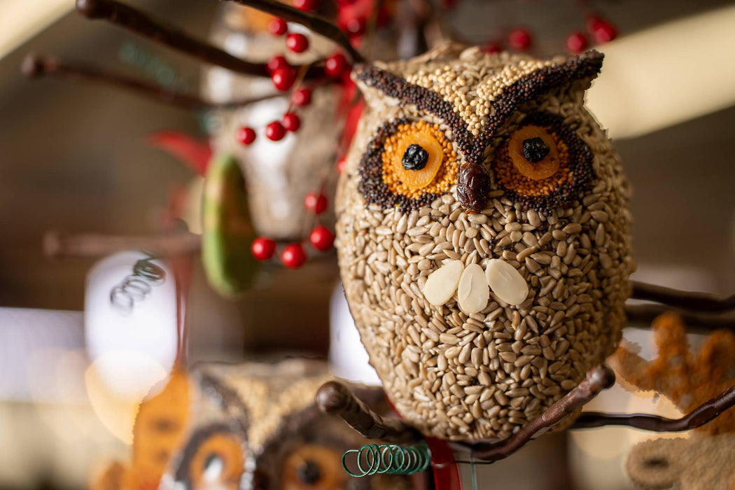 Whoo-lio Owl