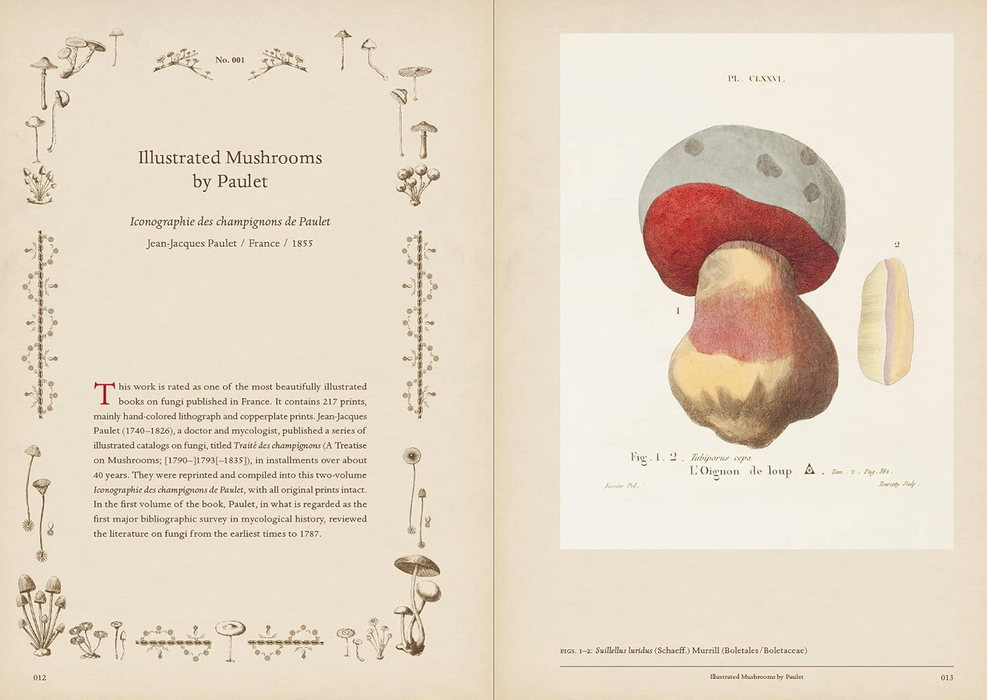 Mushroom Botanical Art