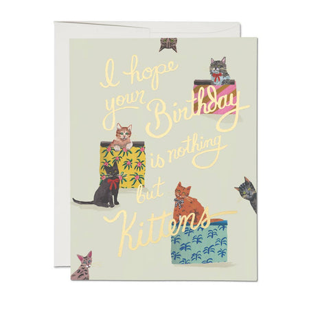 Birthday card with cats and text 'I hope your birthday is nothing but kittens' on a white background