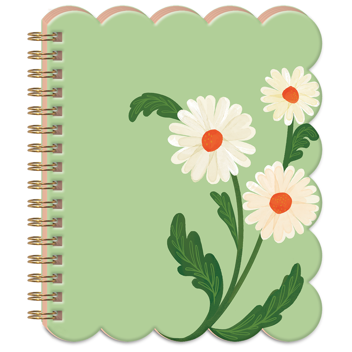 A spiral-bound notebook with a scalloped light green cover, decorated with three white daisies that have orange centers and green leaves. The notebook is shown against a plain white background.