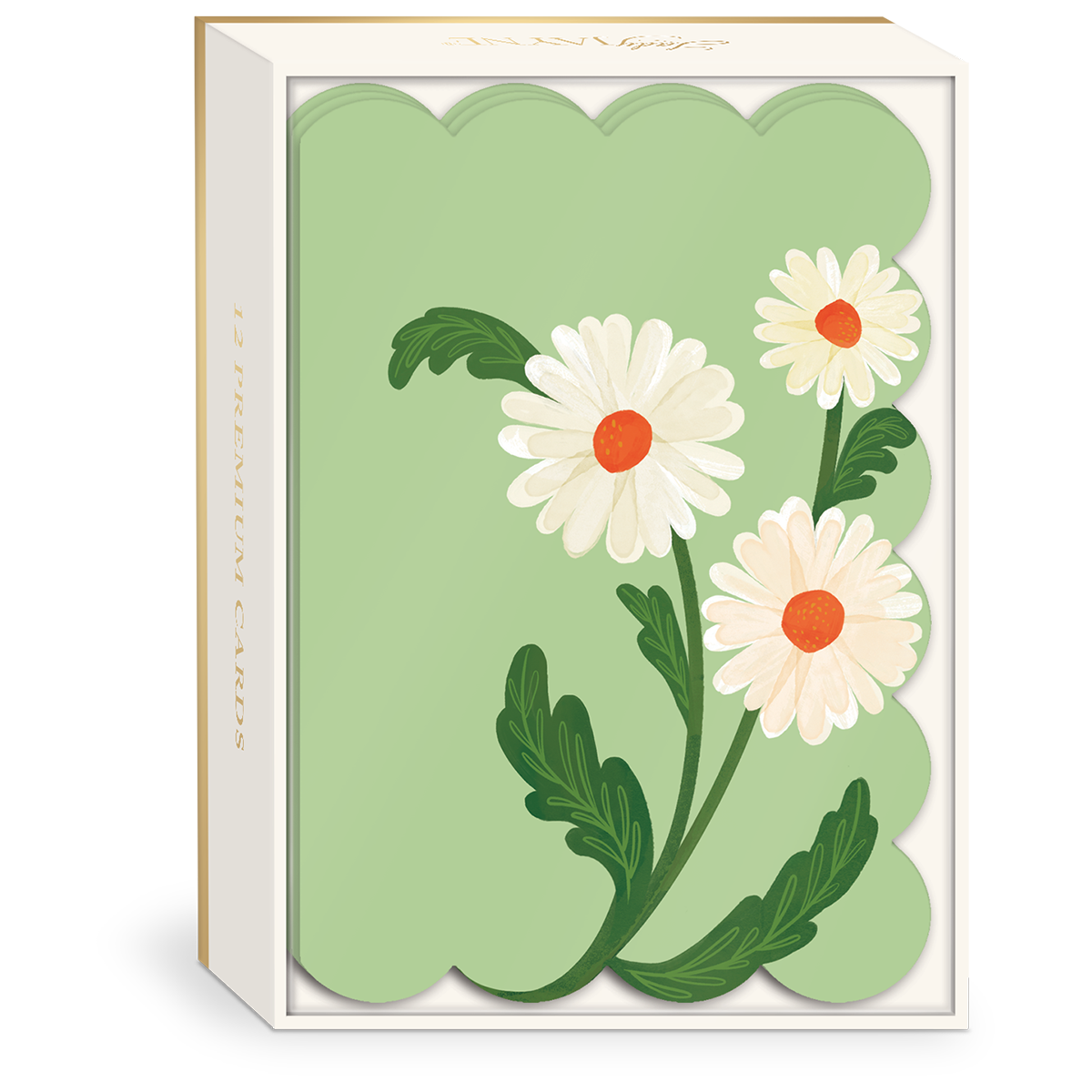 A boxed card set with a light green scalloped card insert featuring three white daisy flowers with orange centers and green leaves, shown on a white background.