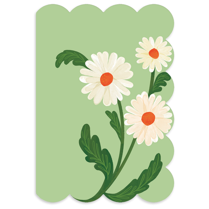 Fruit and Fleur Daisies Boxed Note Cards - 12ct