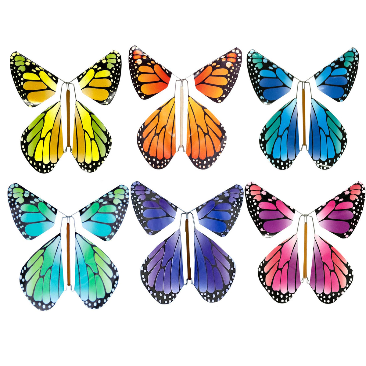 Flying Magic Butterfly® – Pulp & Circumstance