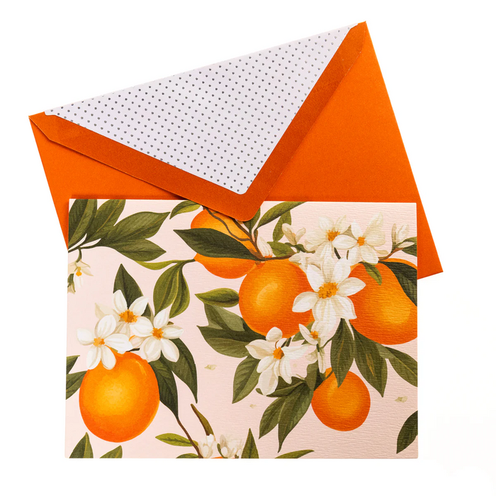 La Petite Presse Collection L'orange  Luxe Boxed Cards