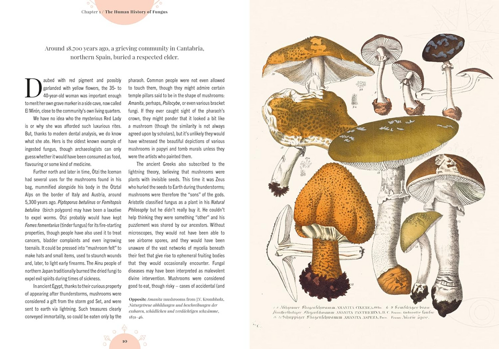 The Magic of Mushrooms: Fungi in folklore, superstition and traditional medicine