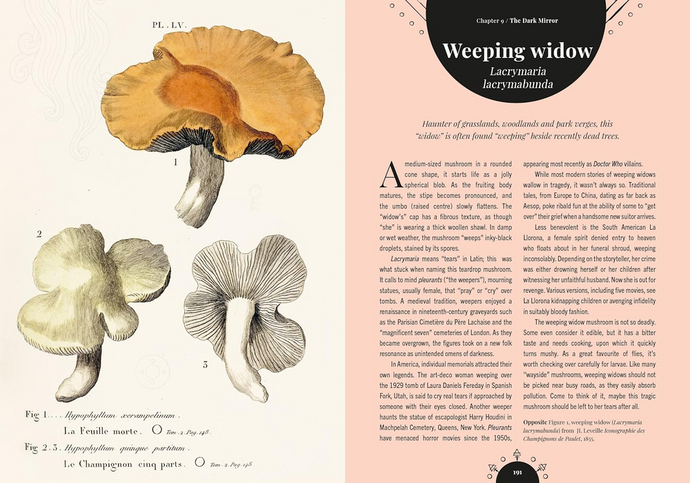 The Magic of Mushrooms: Fungi in folklore, superstition and traditional medicine