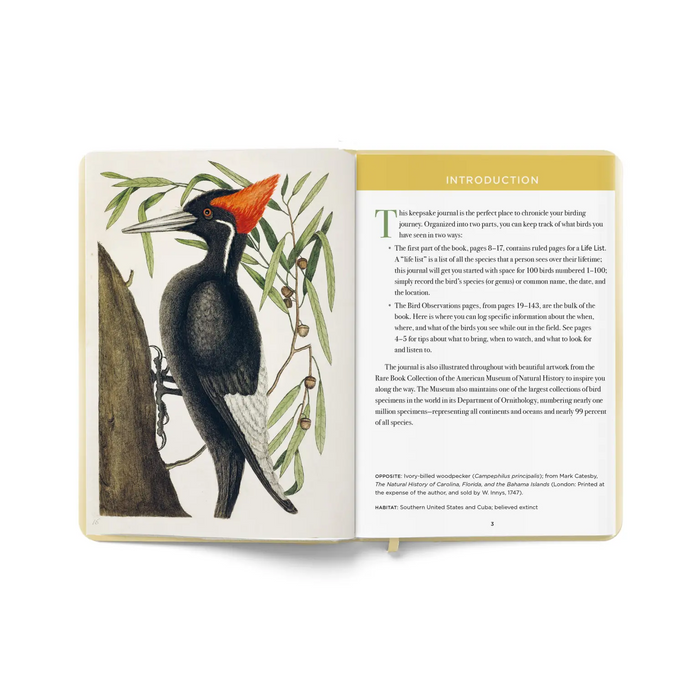 Birdwatcher's Field Journal
