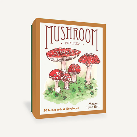 Notecard set titled 'Mushroom Notes' with illustrations of red mushrooms on a white background