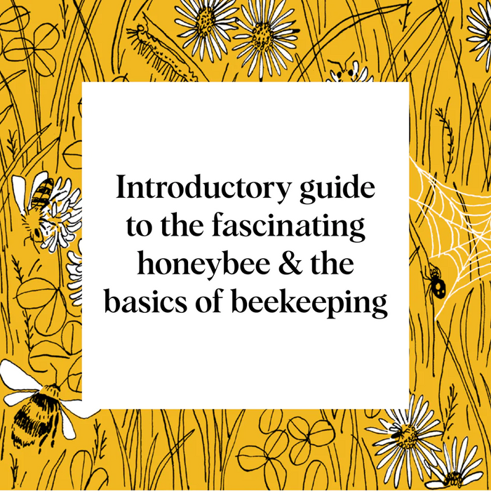 Pocket Nature: Beekeeping Explore the Marvelous World of Honeybees
