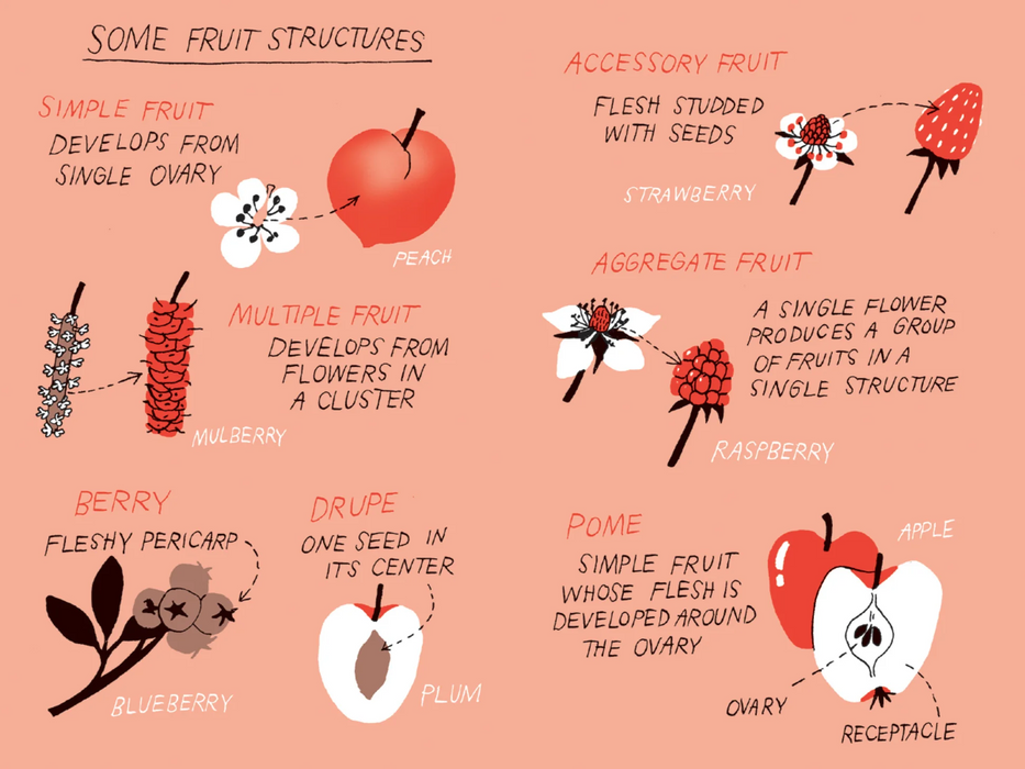 Pocket Nature: Fruit Harvesting: Discover Nature's Abundance
