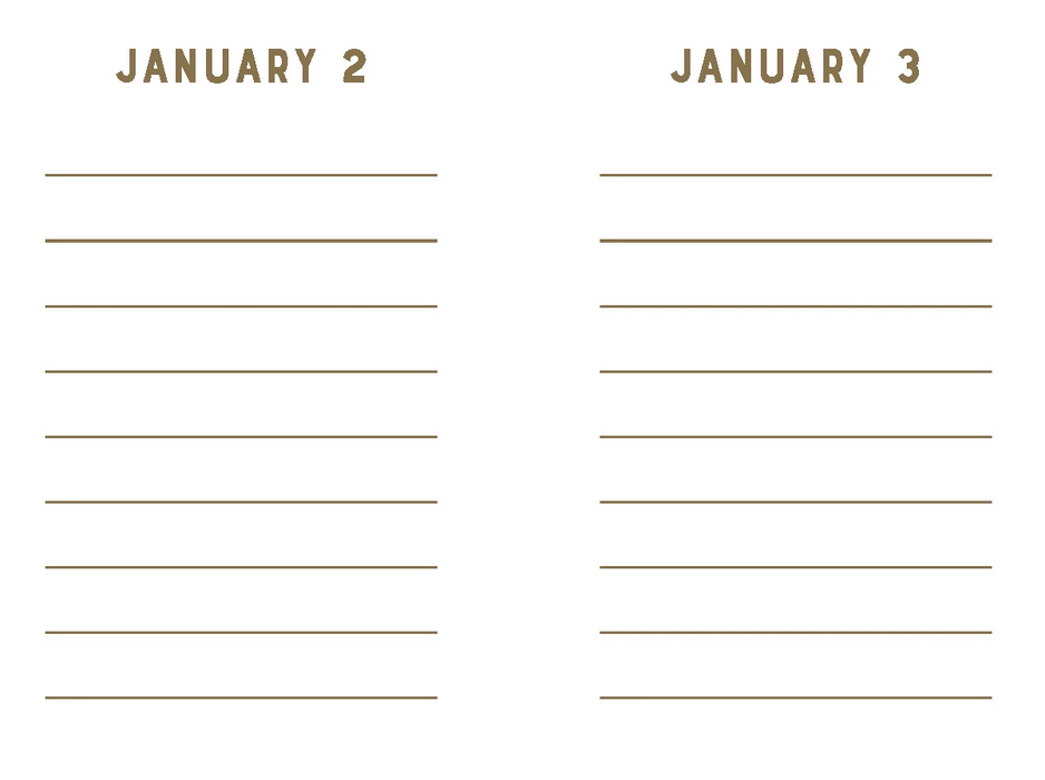 Rose Velvet Mini One Line a Day A One-Year Memory Book