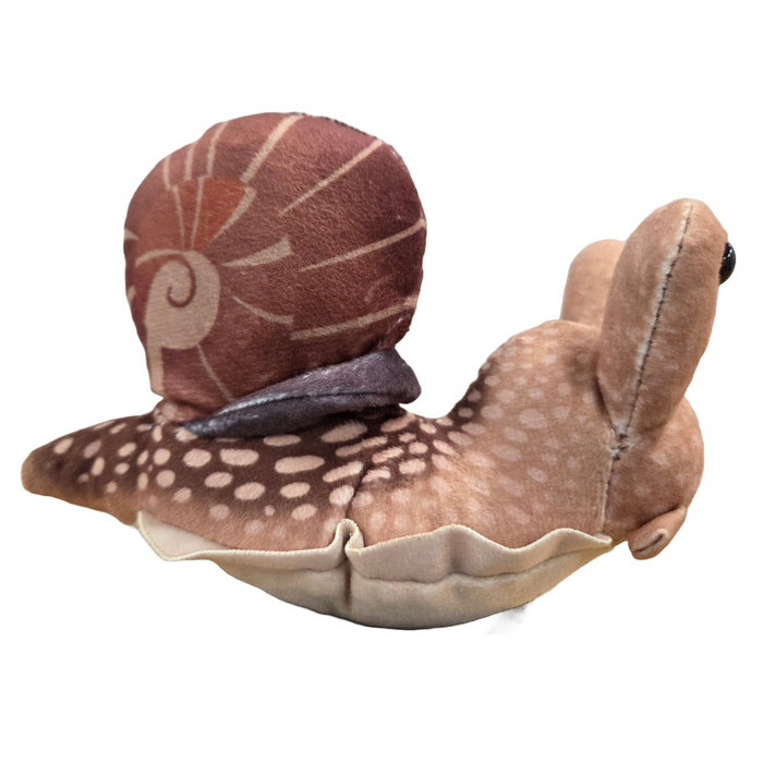 canned snail