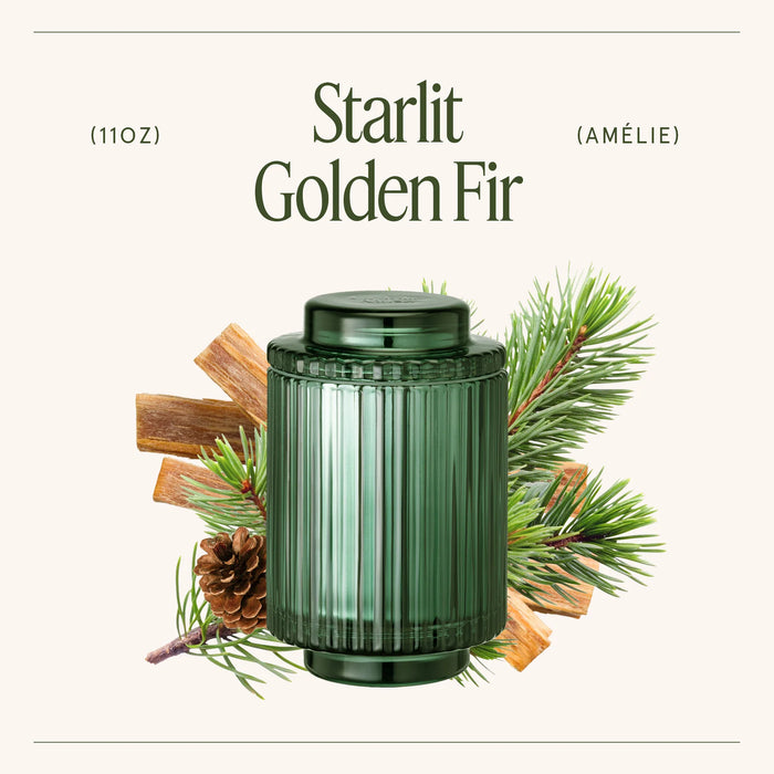 Starlit Golden Fir Candle