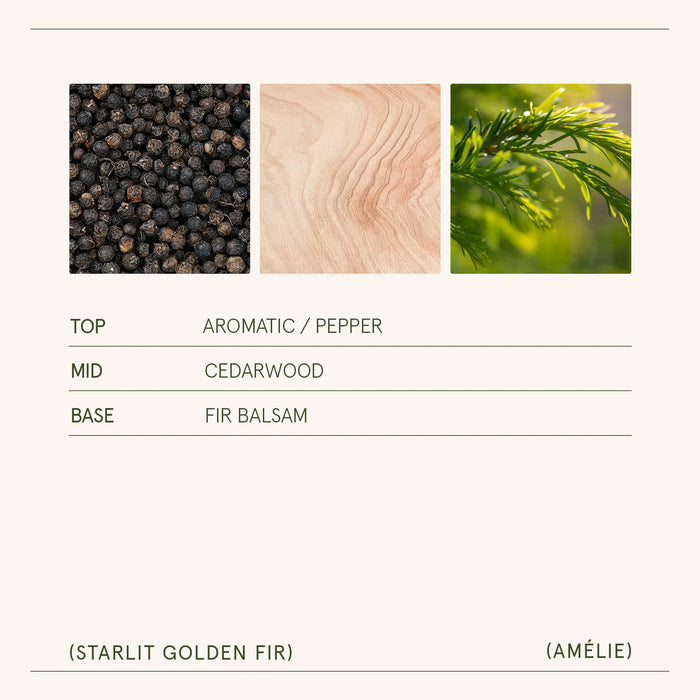 Starlit Golden Fir Candle