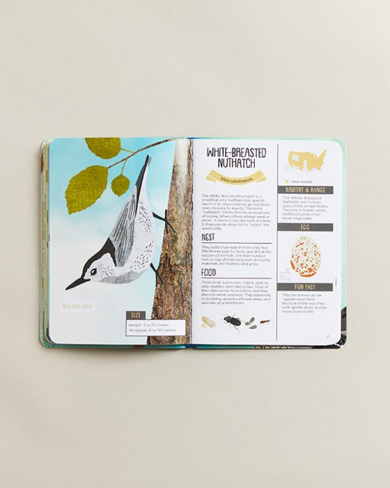 Kid's Guide to Backyard Birds