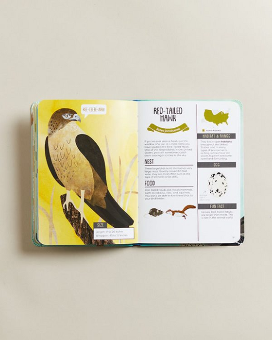 Kid's Guide to Backyard Birds
